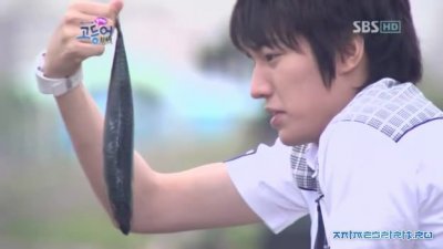 Вперед, Скумбрия, Вперед!