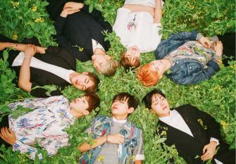 БТС на лужайке